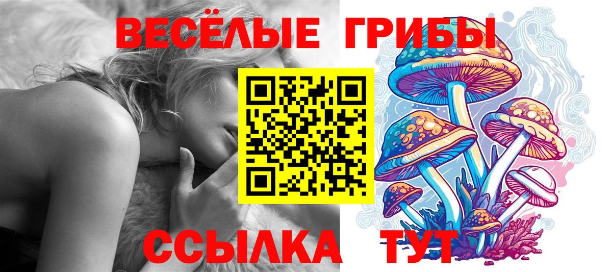 Галлюциногенные грибы Psilocybine cubensis  Вход с VPN  Ейск 