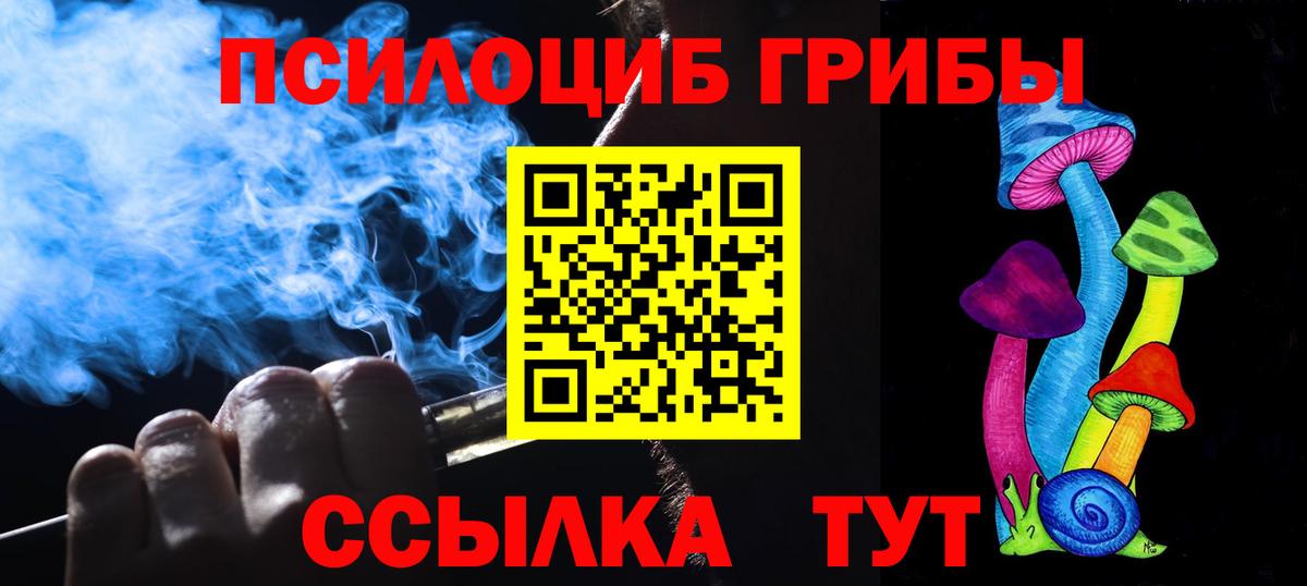 Псилоцибиновые грибы Psilocybine cubensis Ейск